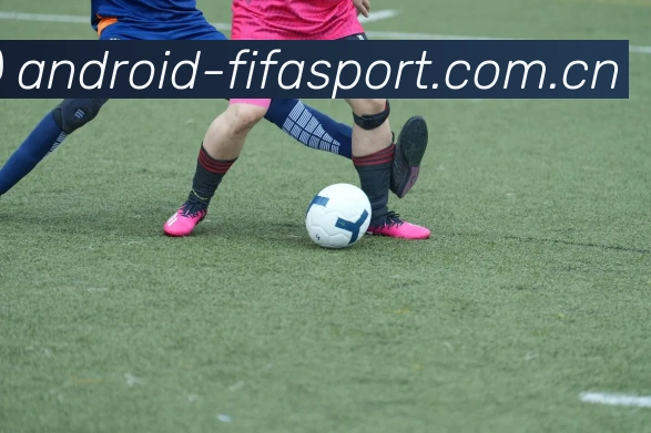 FIFA 官方数据授权认证